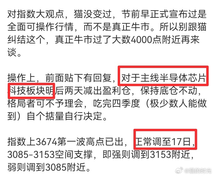 猫说的最多的两个字是“科技”