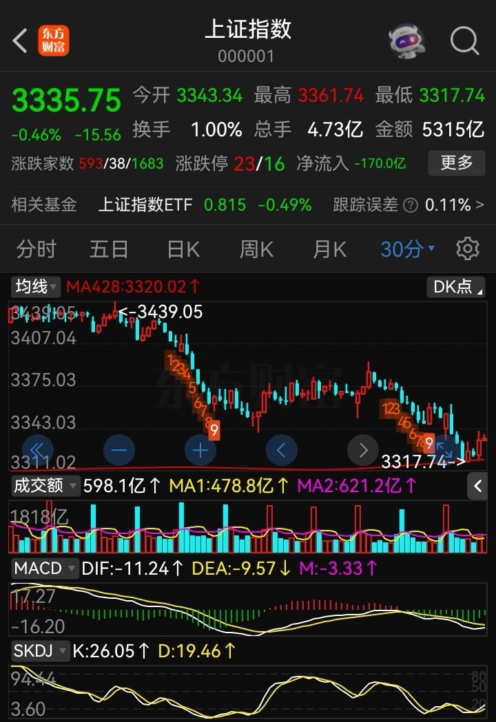 猫的时光 - 财经博主 画图留白