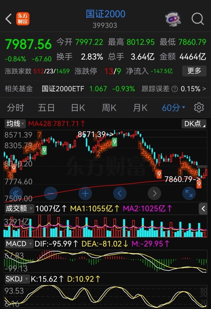 猫的时光 - 财经博主 画图留白